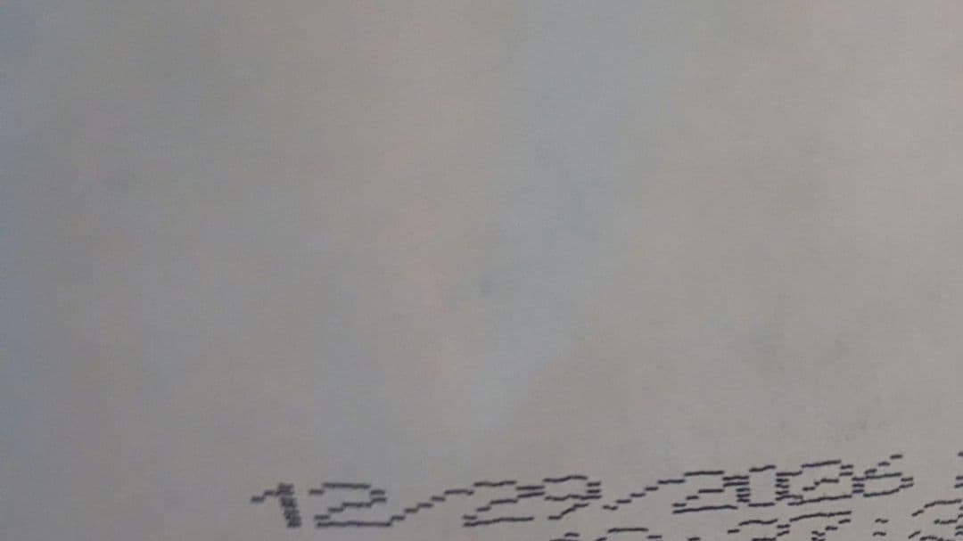 ドッグフード tomomo