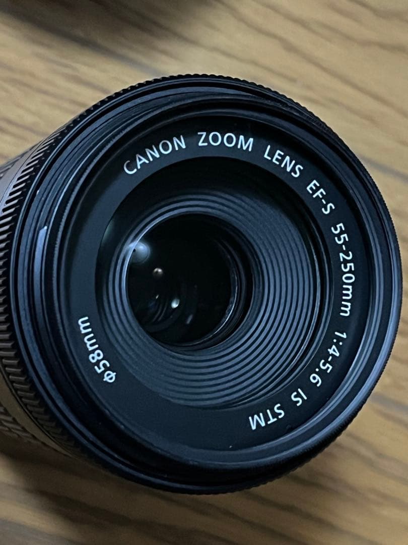 Canon EF-S55-250mm F4-5.6 IS STMズームレンズ