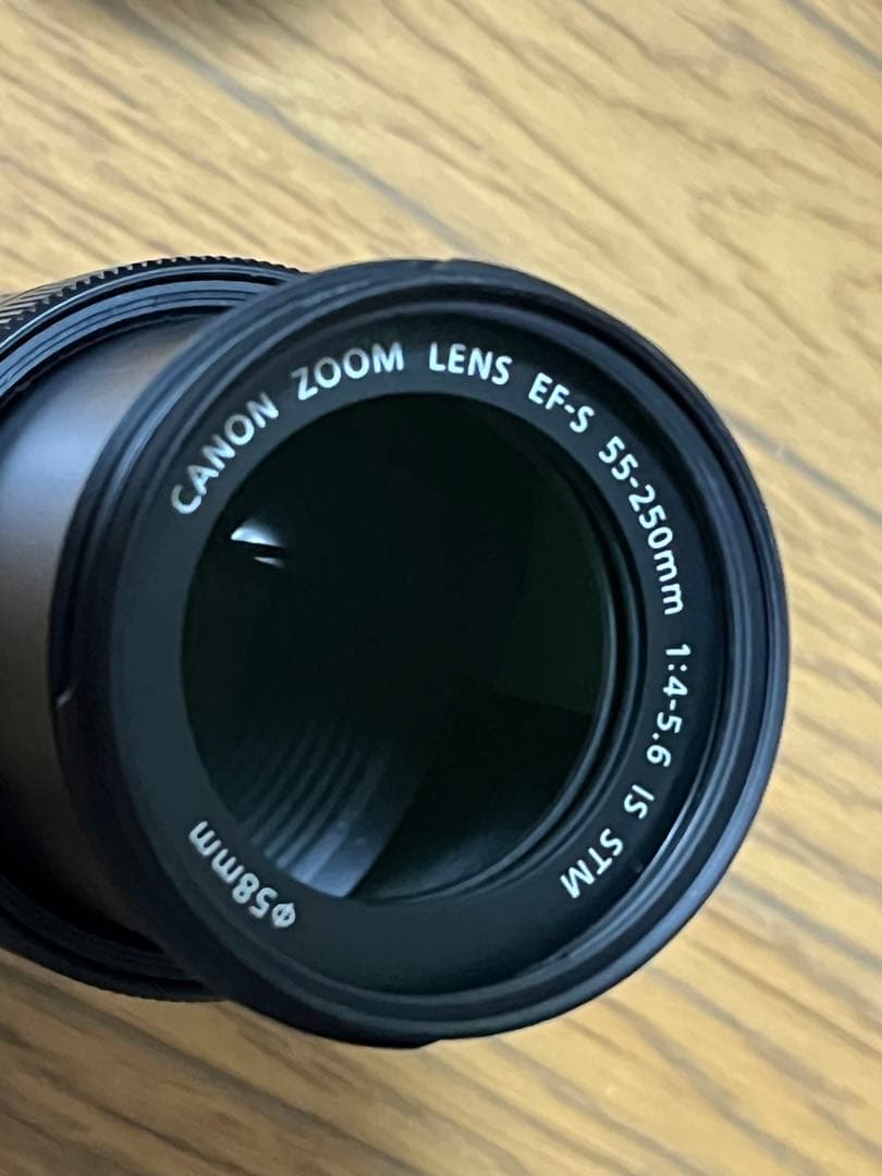 Canon EF-S55-250mm F4-5.6 IS STMズームレンズ