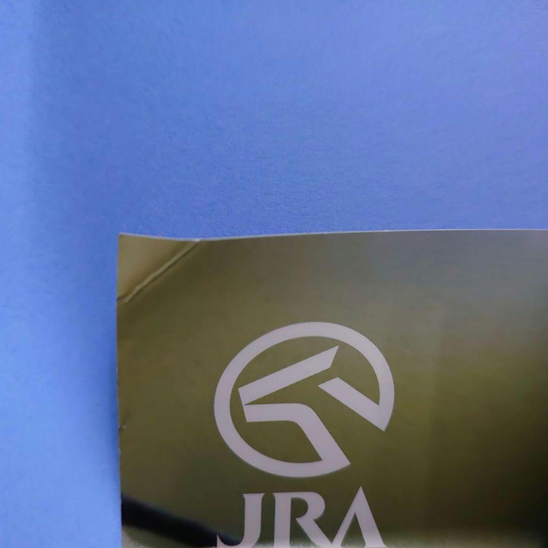 【非売品】ゴールドシップ ヒーロー列伝 ポスターウマ娘B1サイズ 競馬有馬記念