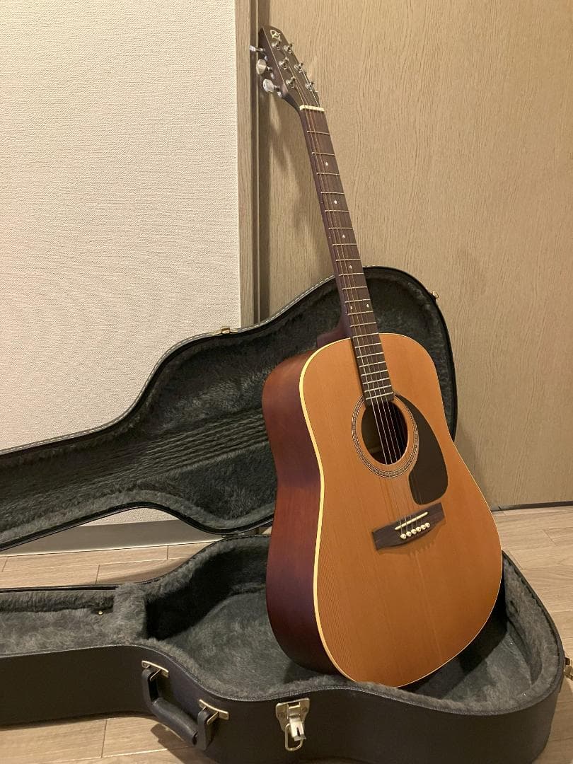 Seagull S6 + CEDAR アコースティックギター