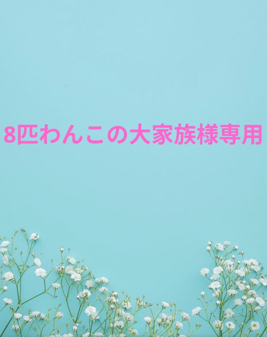 8匹わんこの大家族