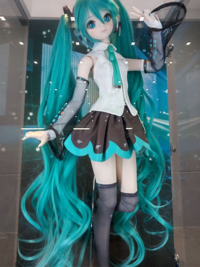 ドルフィードリームNT