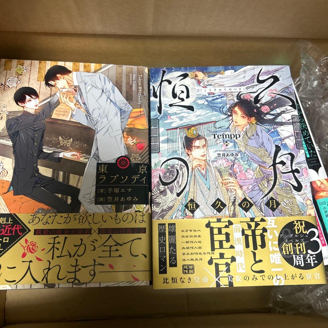 bl小説大判サイズ纏め売りセット　アンダルシュノベルズ他