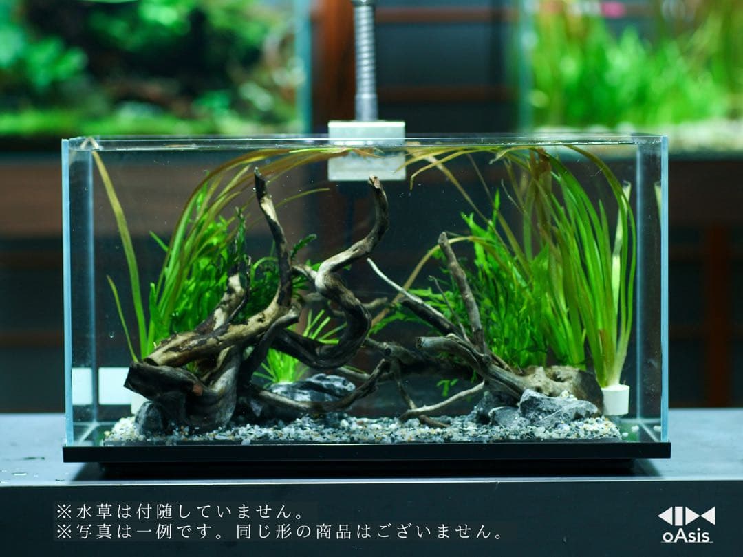 アクアリウム 流木 レイアウトセット 45cmスリム　熱帯魚・水草水槽用