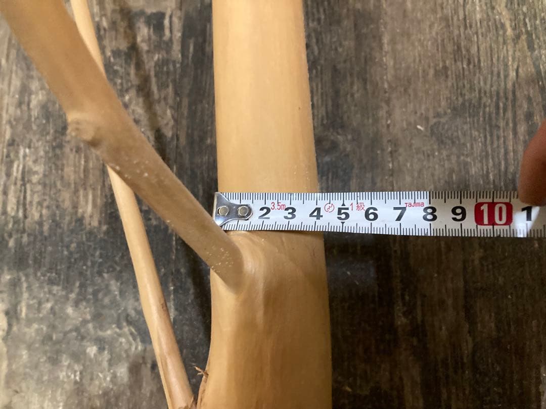 木製 鳥用止まり木 約116センチ