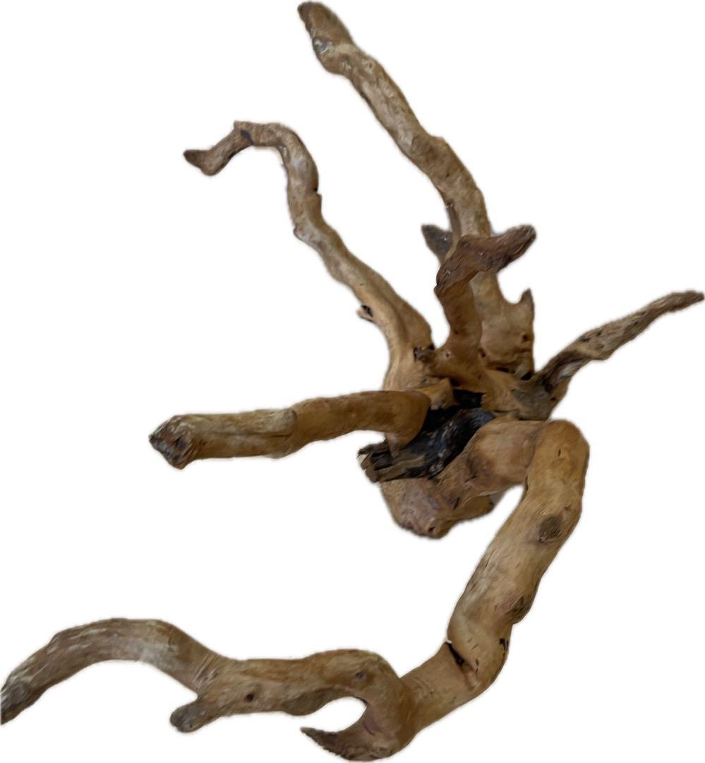 水槽用流木 大きめ 自然な枝状