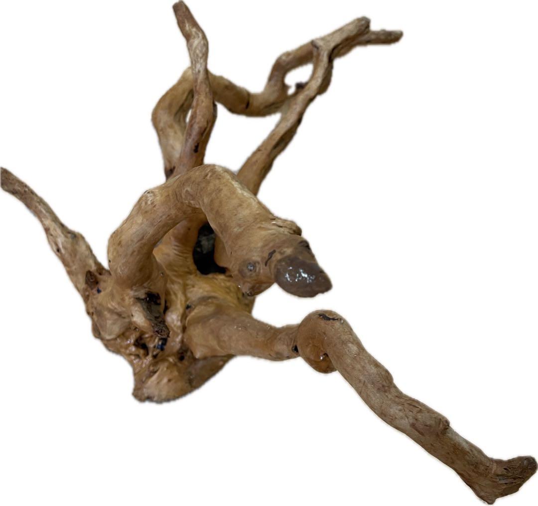 水槽用流木 大きめ 自然な枝状