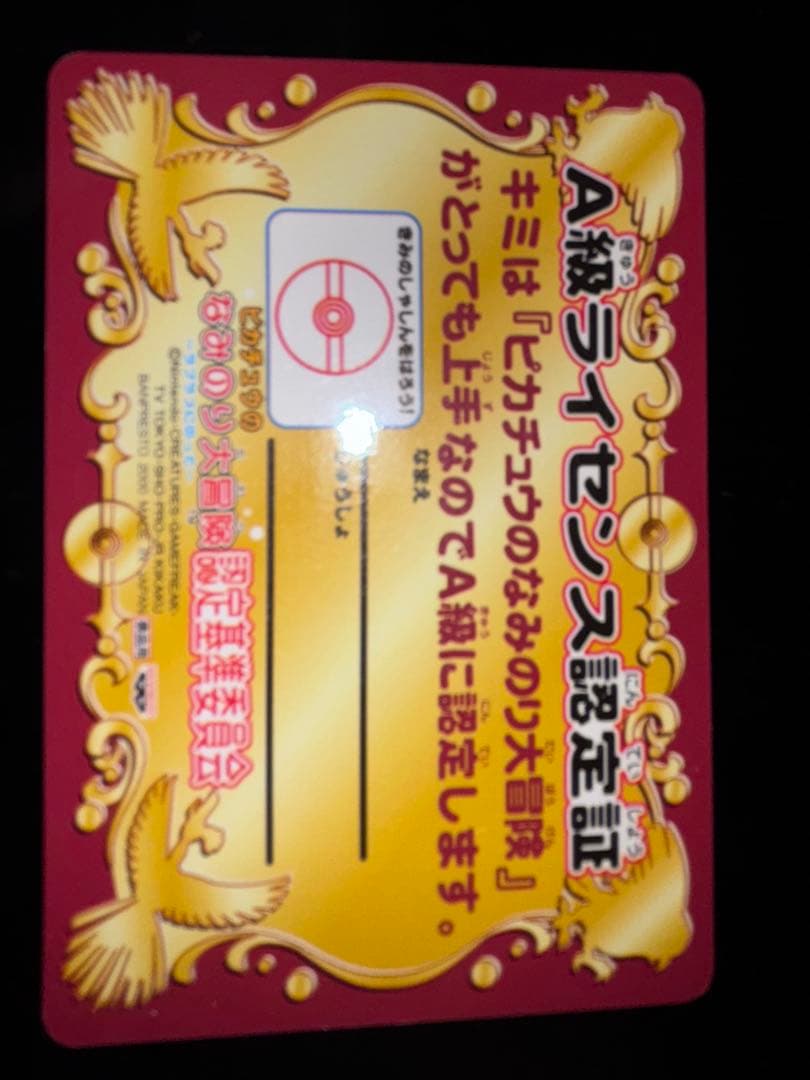 A級ライセンス　認定証　ピカチュウ　なみのり大冒険　ポケモン　2種