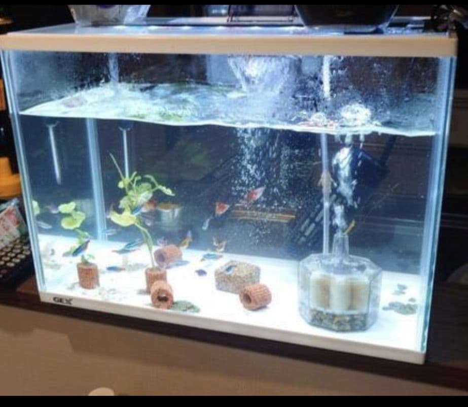 GEX製アクリル水槽 400スリム型 付属品多数