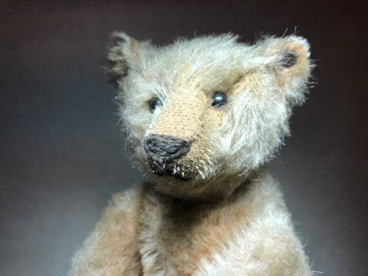 レコード テディベア アンティーク シュタイフ