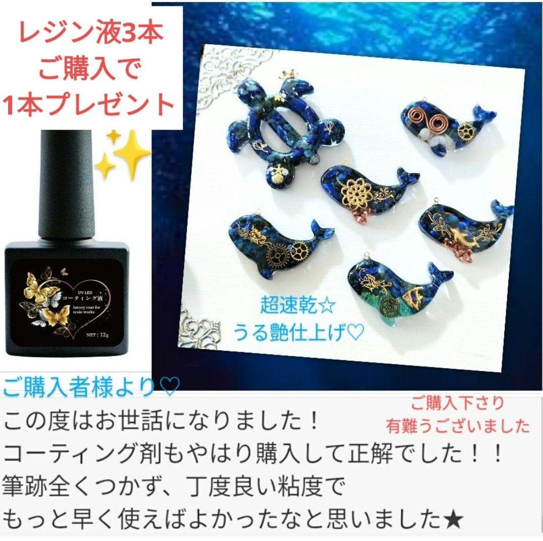 専用レジン液 フルール10本、コーティング剤つき☆