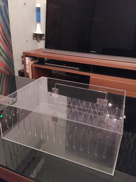 爬虫類ゲージ アクリルゲージ 【 No.4 】