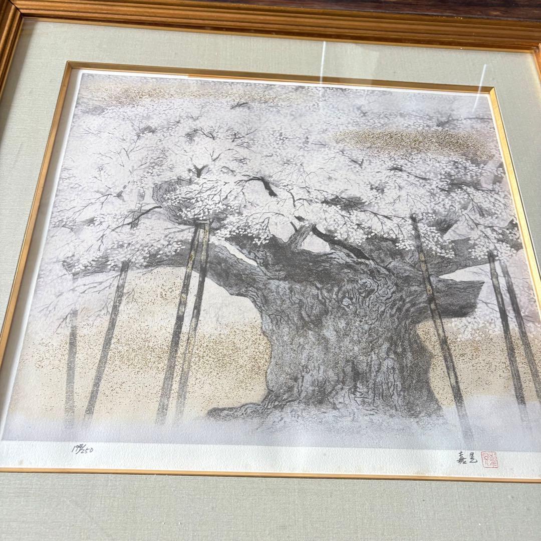 伊藤嘉晃 「淡墨桜」リトグラフ 194/250 共シール 額装 J