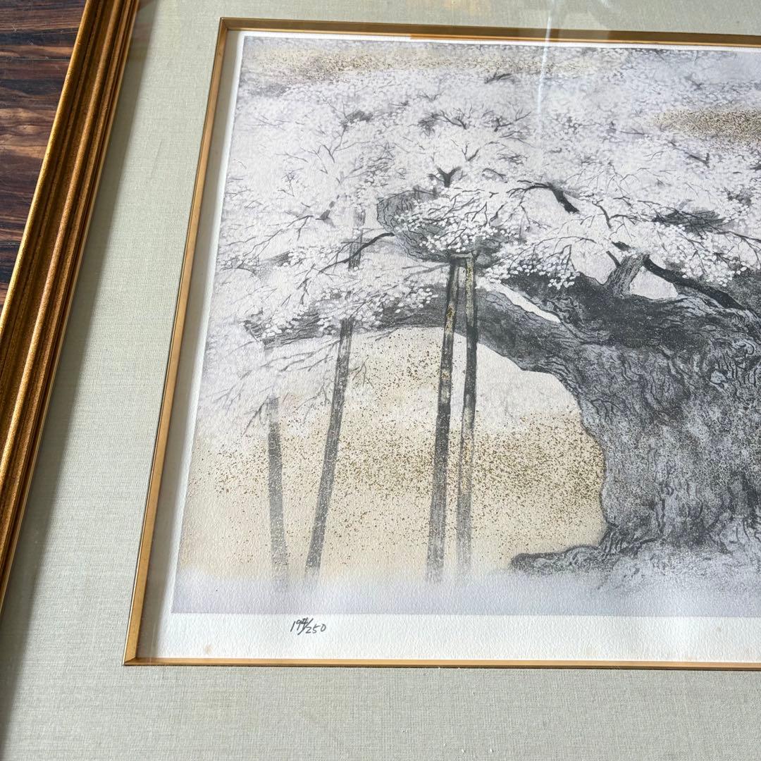 伊藤嘉晃 「淡墨桜」リトグラフ 194/250 共シール 額装 J