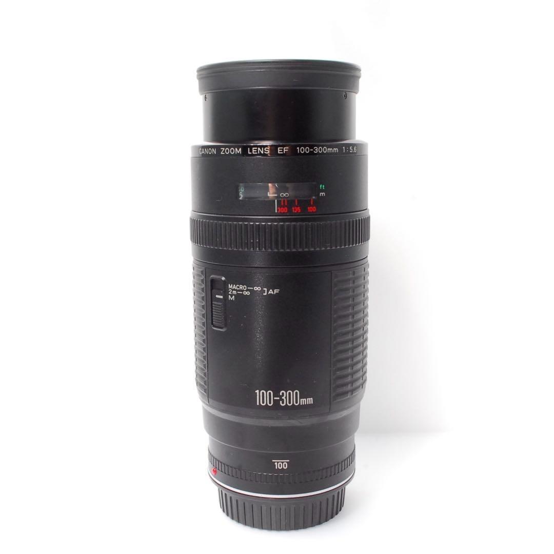 遠くの風景も人物もOK✨Canon EF 100-300✨超望遠レンズ✨キヤノン