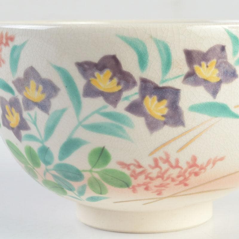 茶道具　白井半七造　色絵　秋草絵　茶碗　銘「涼風」　即中斎極め箱　M　9726