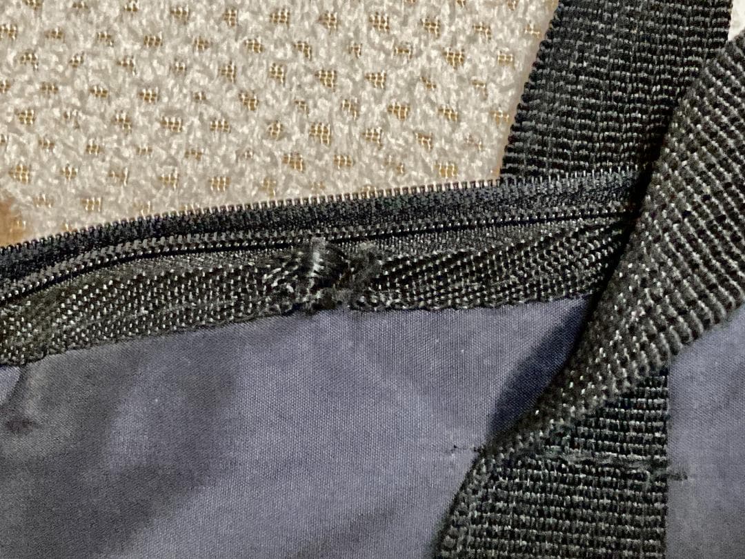 にっと！FERNANDES ZO-3　アンプ内蔵 専用ソフトケース付