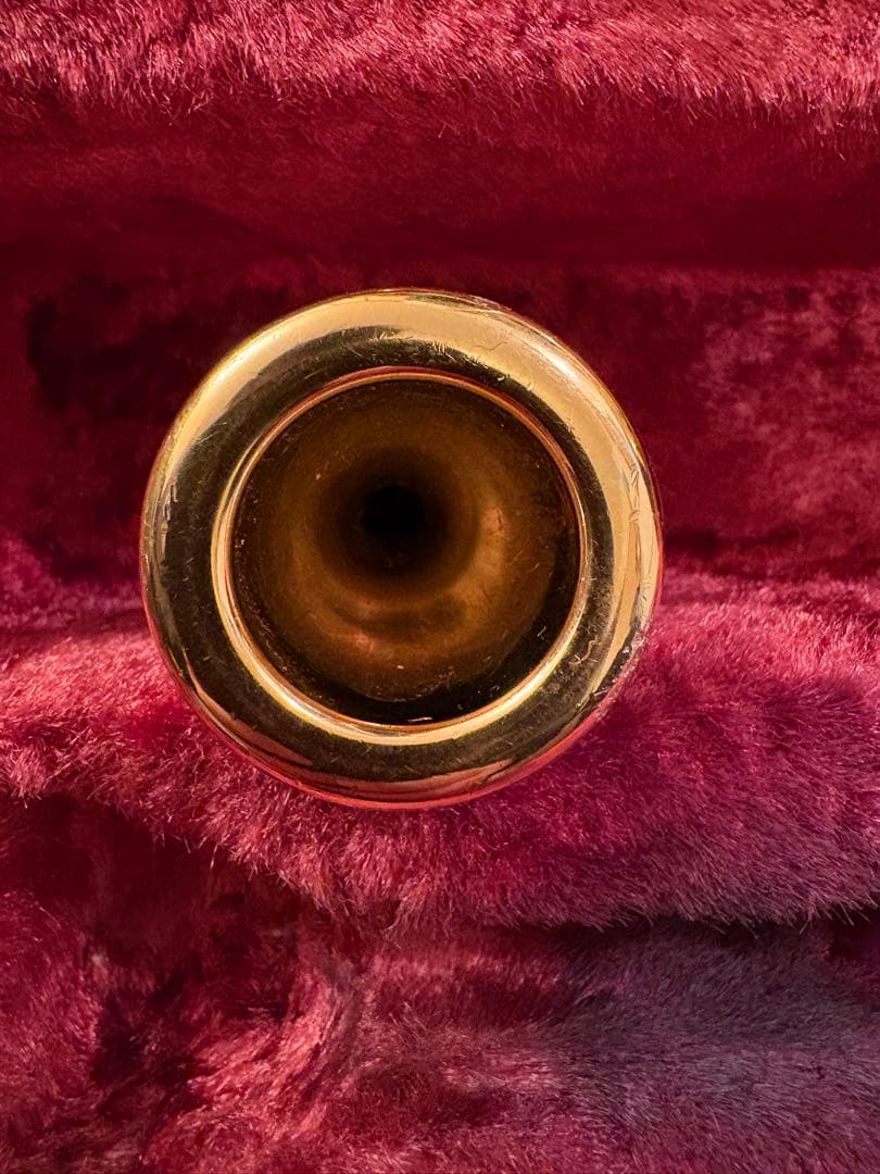 【ヤマハ テナーバストロンボーン YSL-882OR】