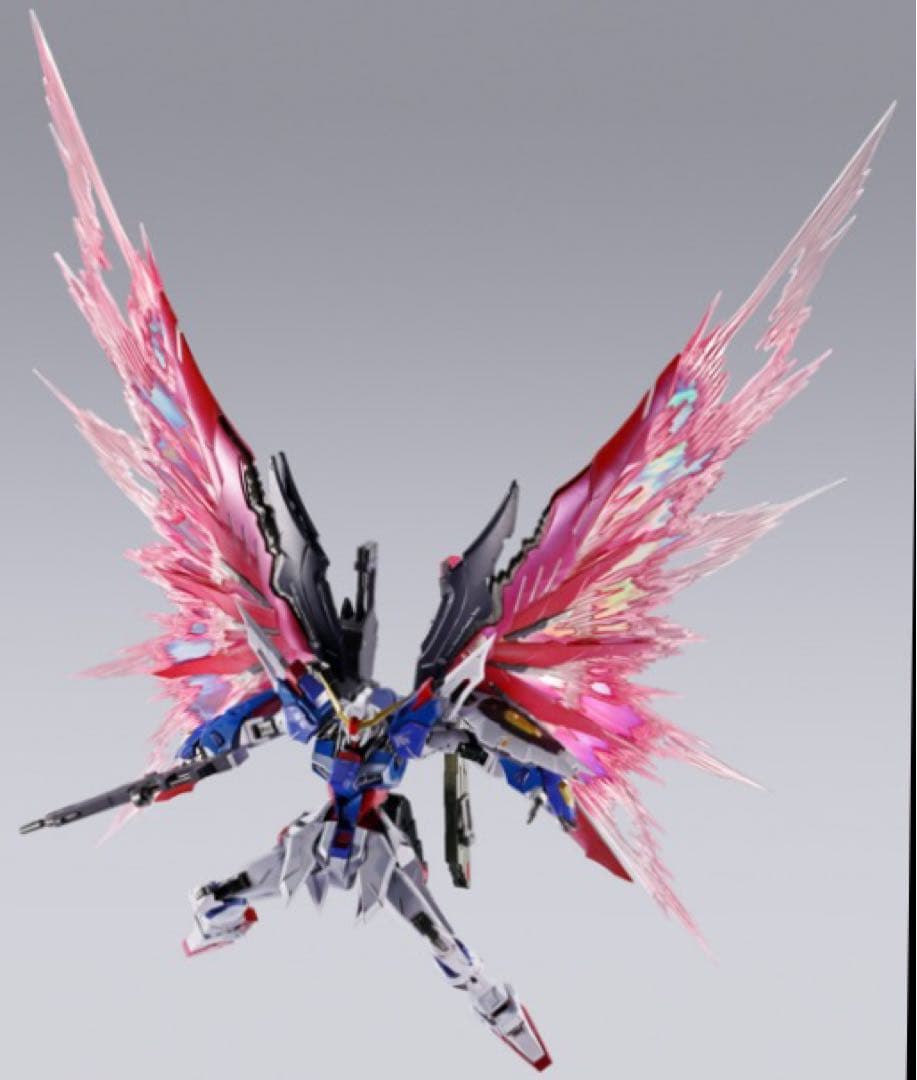 l build デスティニーガンダム　フルパッケージ