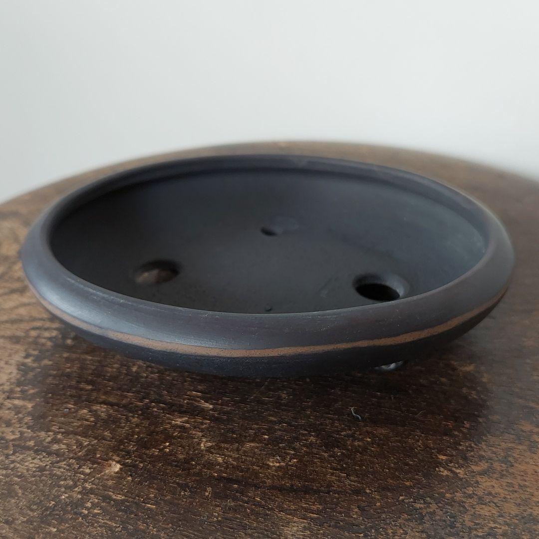 盆栽鉢　美芸　常滑焼