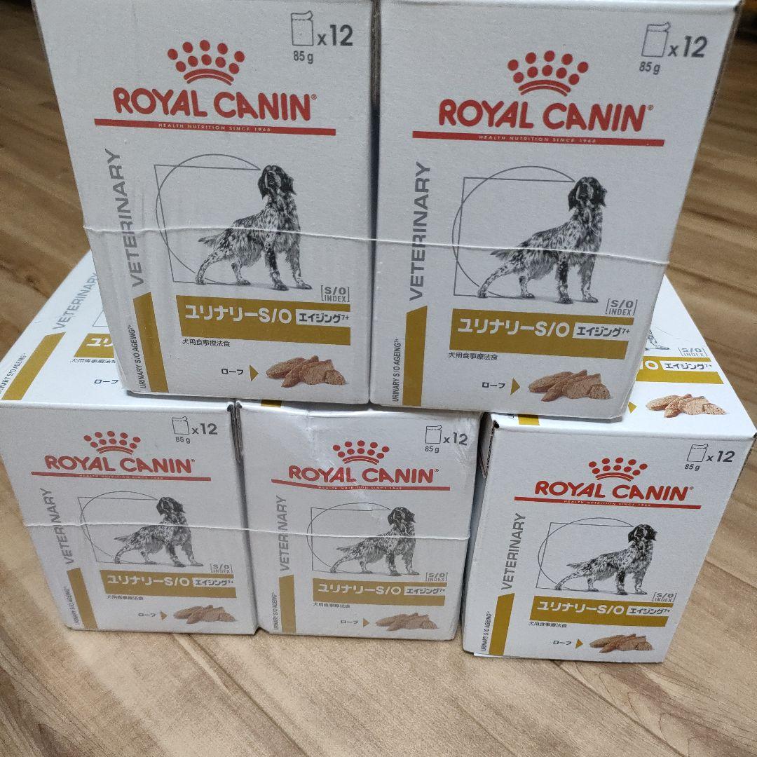  CANIN ユリナリーSOエイジング7 85g x 12個 5セット
