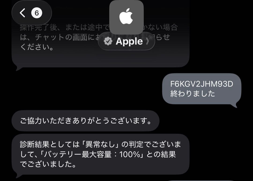 【即日発送】【動作確認済】iPod Touch 第7世代