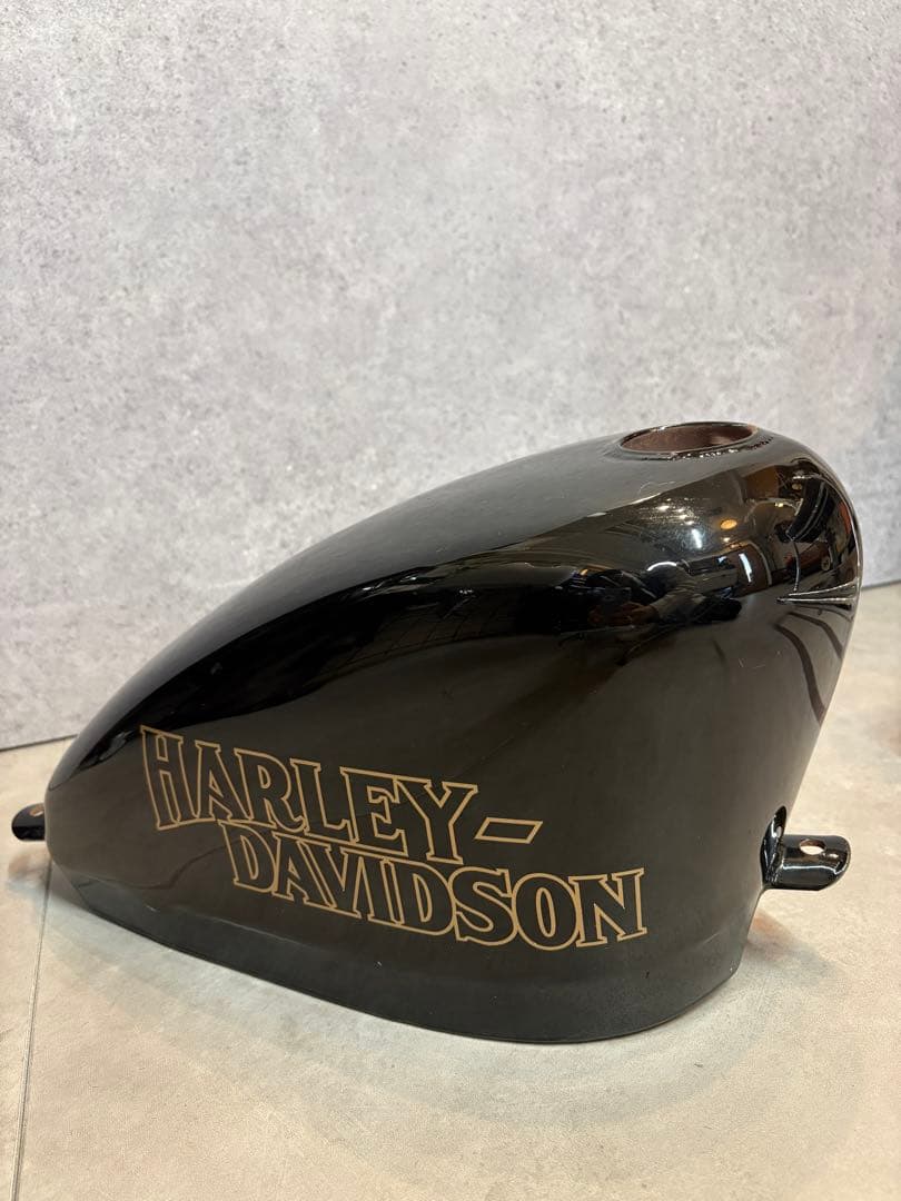 ハーレー スポーツスター ナロースポタン ロートンネル 山本製作所製 内部サビ