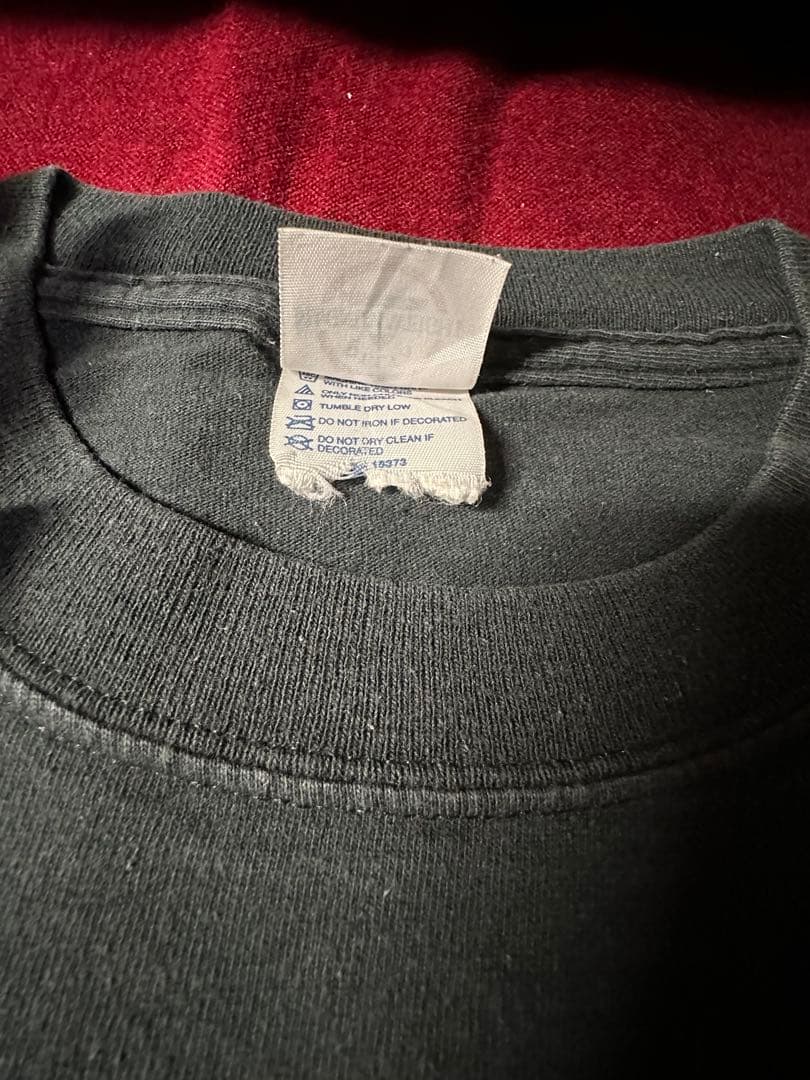 hellsing tシャツ　Mサイズ