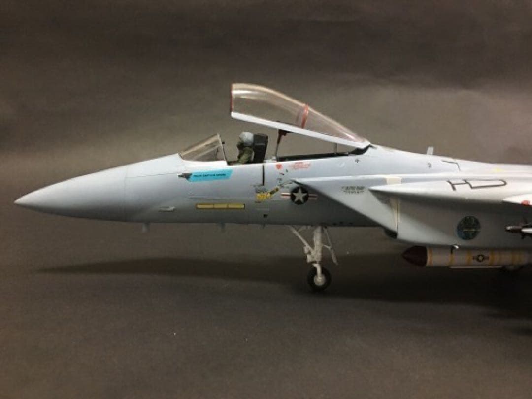 モノグラム 1/48 F-15C 第318戦闘要撃飛行隊　グリーンドラゴンズ