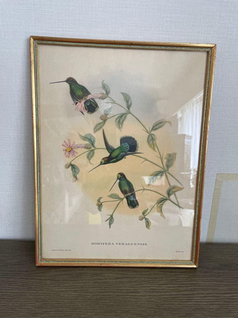 アンティーク　フレーム 鳥の絵画　リトグラフ