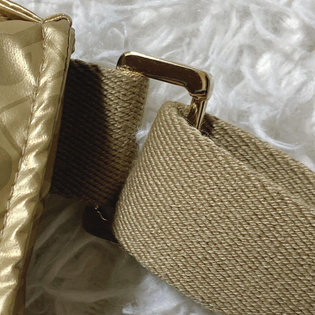 パック寿司 ⭐️ゲラルディーニ　ショルダーバッグ　ソフティ　肩掛け