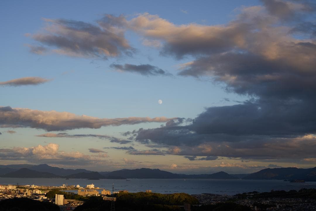 フィルムカメラ LEICA SUMMICRON-R 50mm F2 3CAM