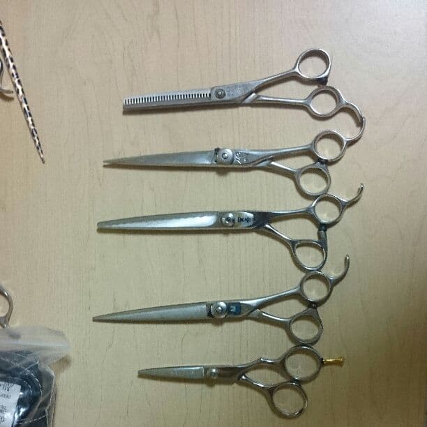 プロ用のハサミとシザーケース