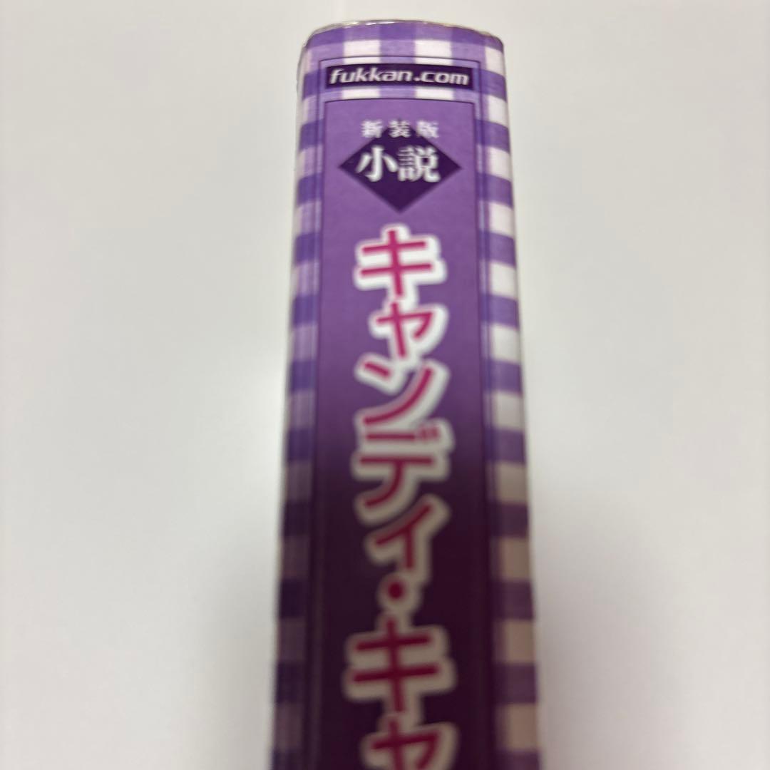 新装版　小説　キャンディ・キャンディ　名木田恵子著