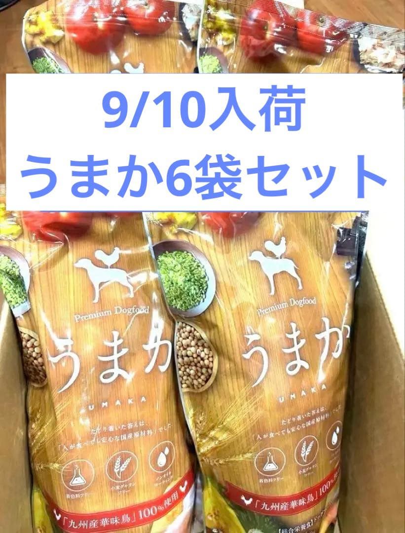 【新品未開封】うまか ドッグフード 1.5kg×6袋セット 9/10入荷