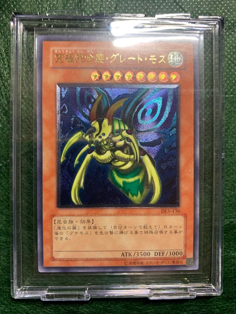 katsu-curry　希少　究極完全態グレートモスレリーフ仕様