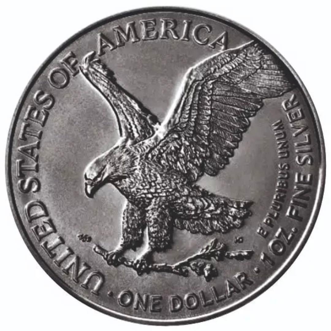 【200枚限定】アメリカ イーグル銀貨 カラーアンティーク仕上げ スケルトン紳士