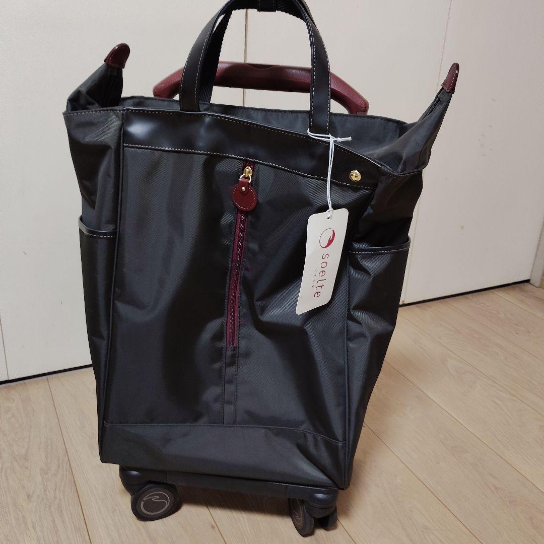 キャリーバッグ　ace soelte 20L