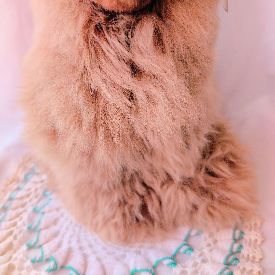 アルパカ100%　ぬいぐるみ　新品タグ付　アニマル　犬　ラマ