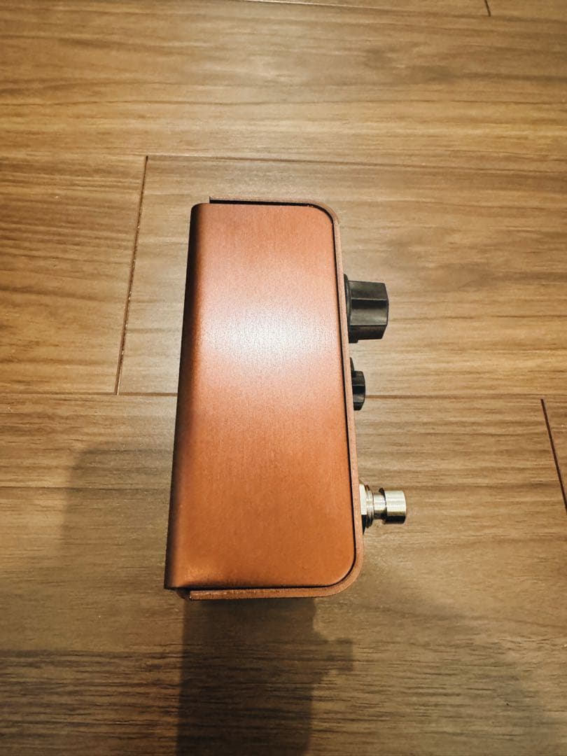 ギター Strymon Lex