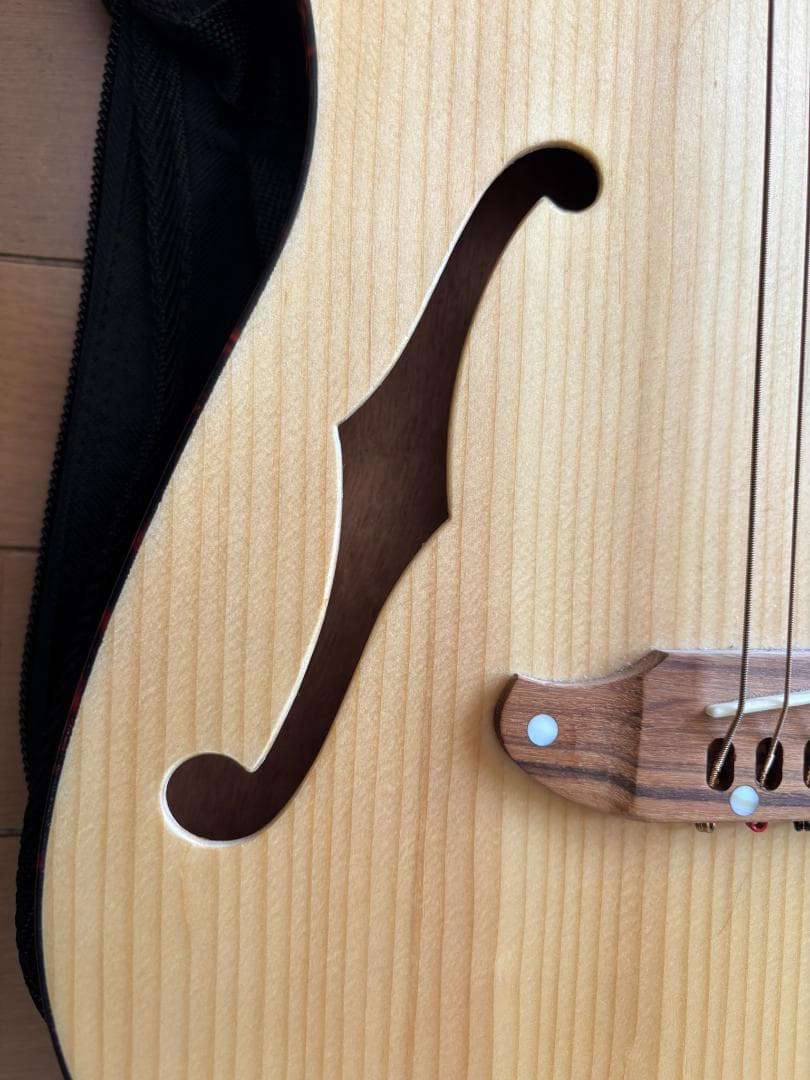 【中古品】SCHECTER（シェクター）エレアコ OL-FL-P