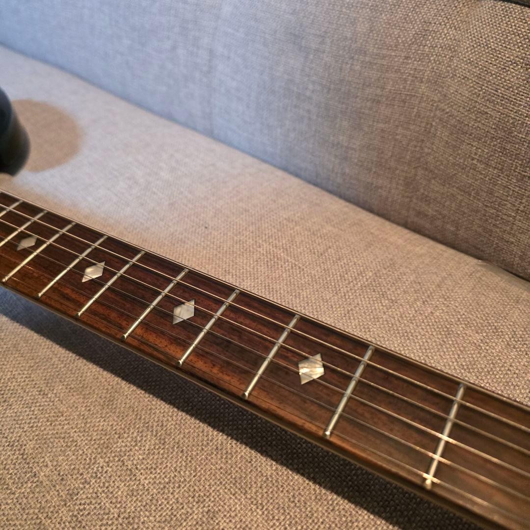 BC Rich モッキンバード FloydRose Licensed