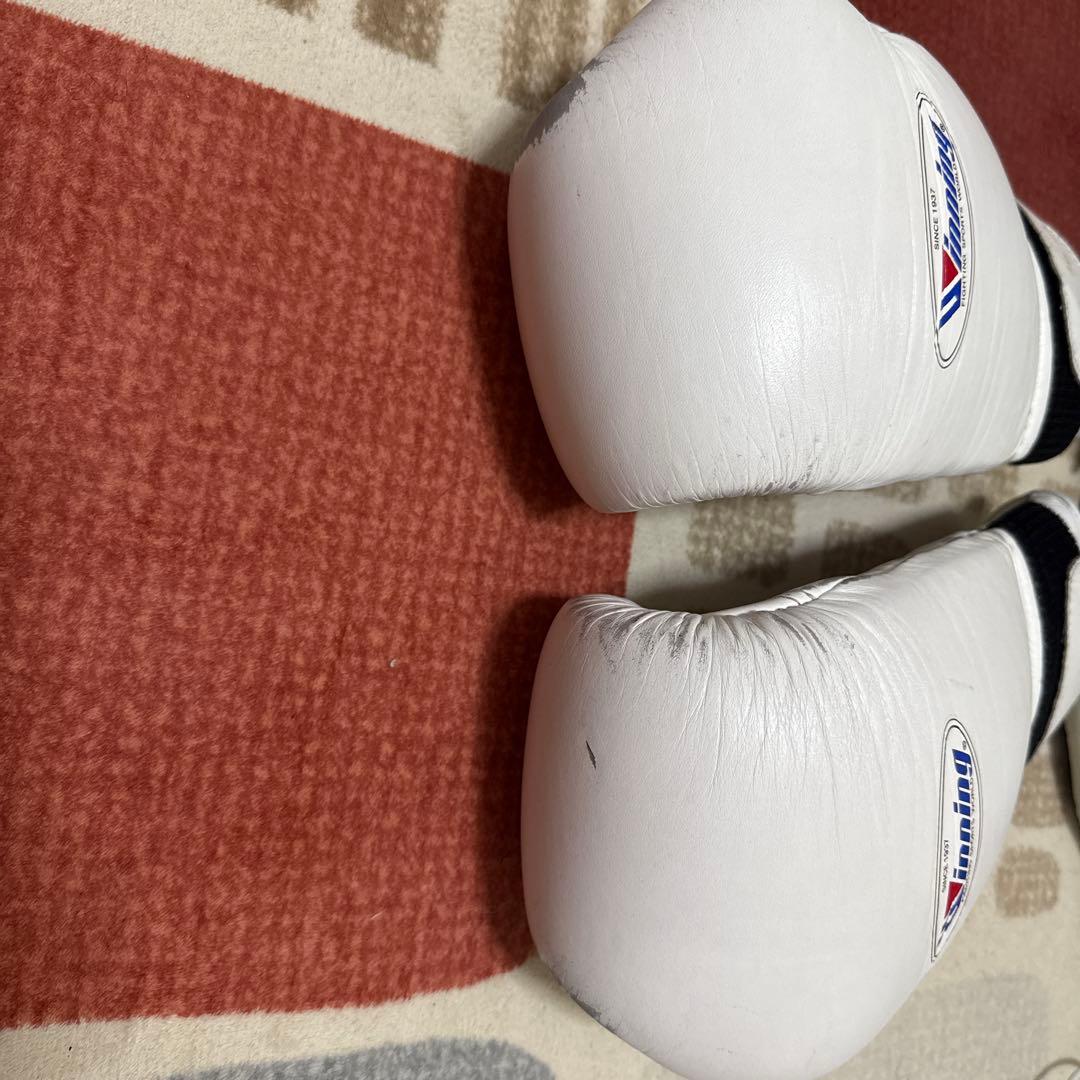 ウイニングボクシンググローブ12オンス　得点王