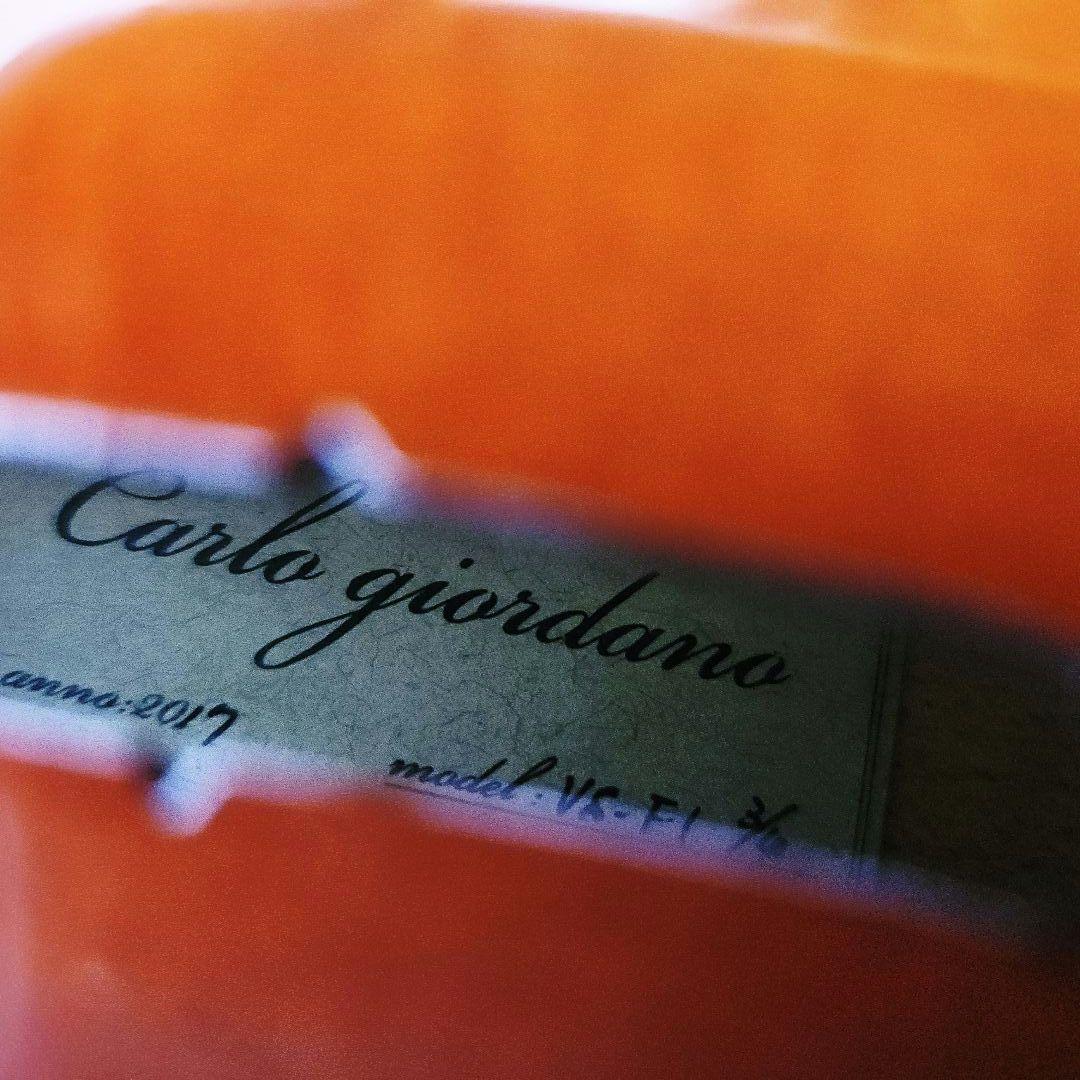 Carlo giordano カルロジョルダーノ VS-F1 3/4 バイオリン