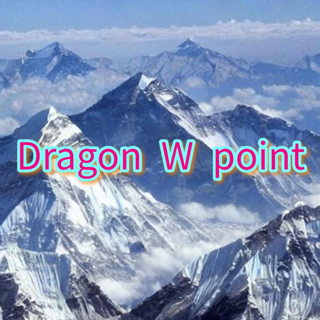 チャロアイト天珠❇天珠ブレスレット⭐龍神λ天然水晶⭐手彫り⭐諏訪大社