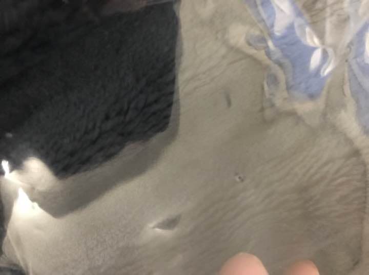 欅坂46 志田愛佳 初期タオル