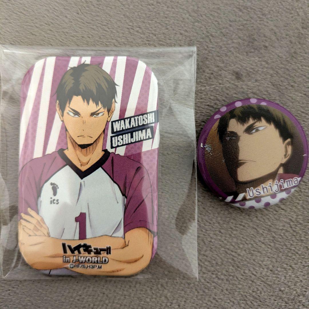 牛島若利 カド丸 缶バッジ　ラバスト　セット