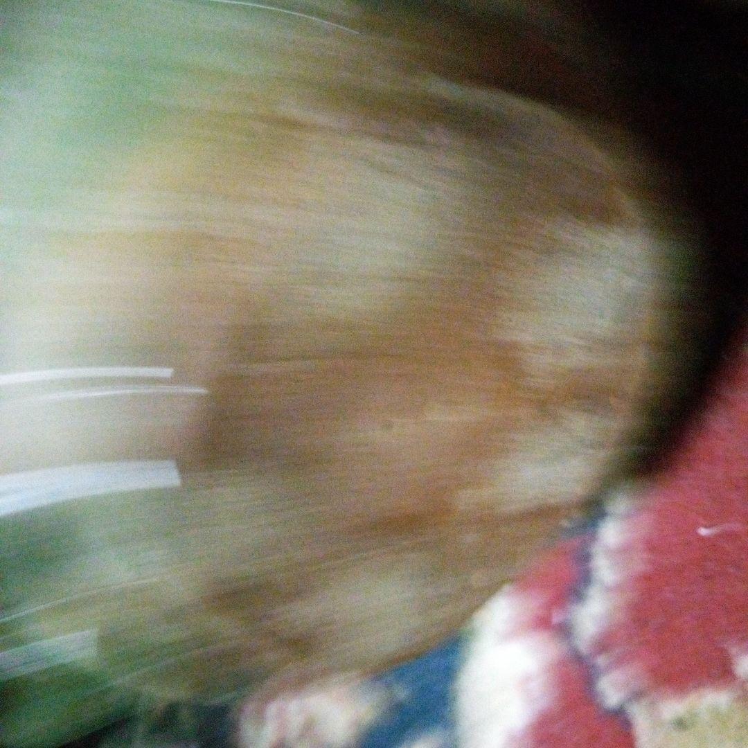 中国陶磁器　獅子形緑色陶器