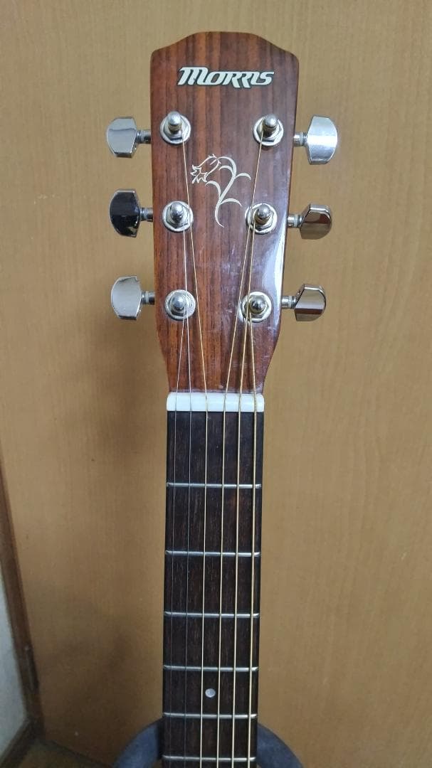 ❤️弦高調整済「Morris モーリス F-01 Ⅱ LH NAT 」左利き用！